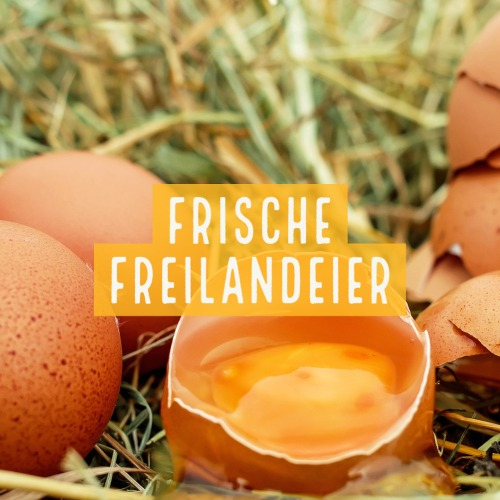 Frische Freilandeier