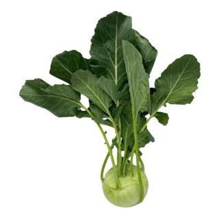 Kohlrabi