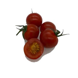 Honigtomaten