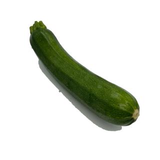 Zucchini